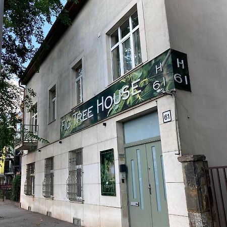 Fig Tree House Budapeste Exterior foto